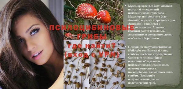 прущая мука Горнозаводск