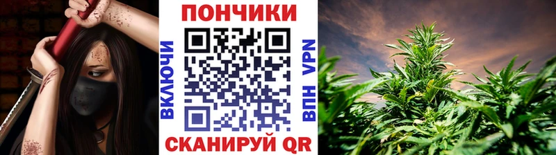 Шишки марихуана планчик  где найти   Ангарск 